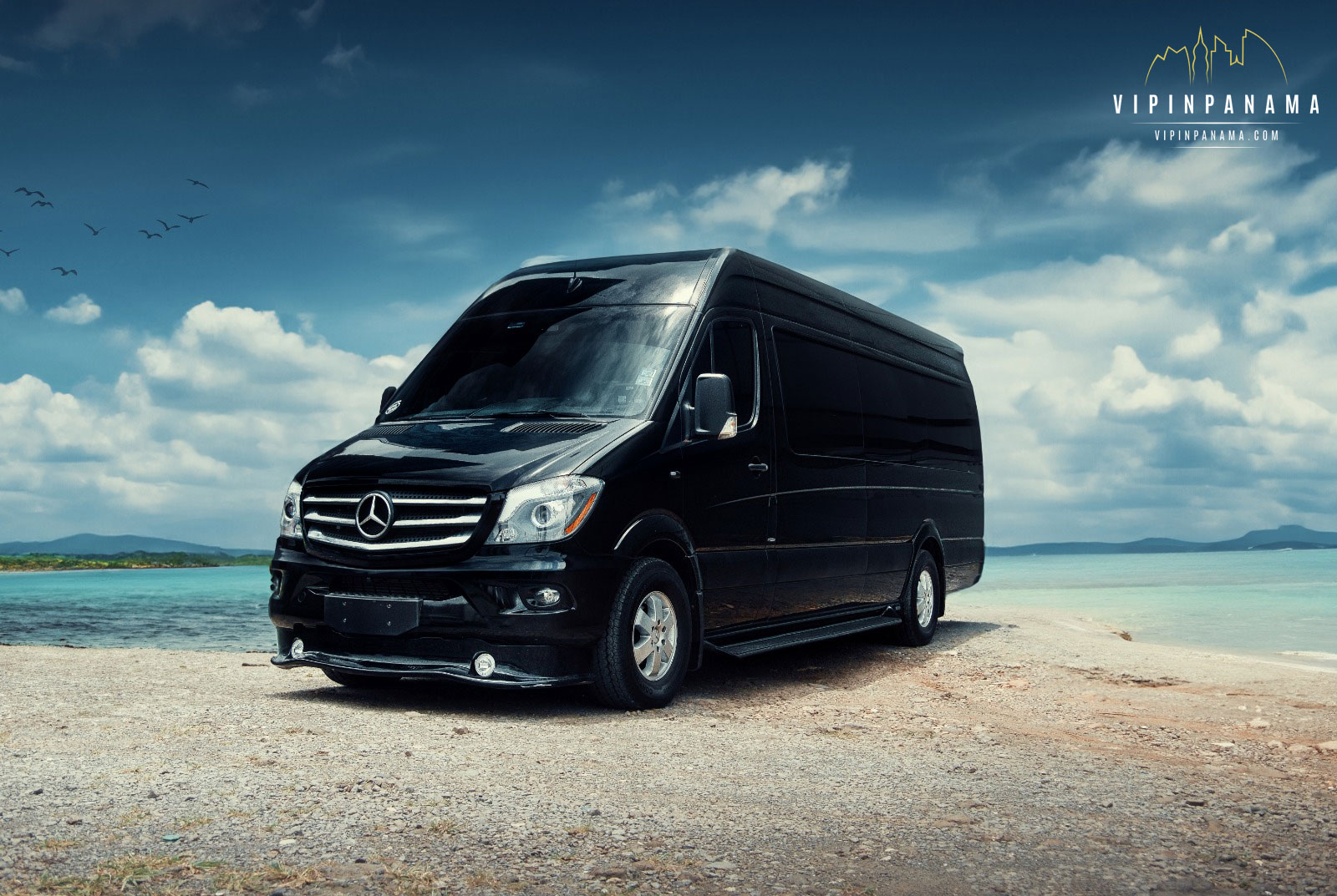 handicap transportation