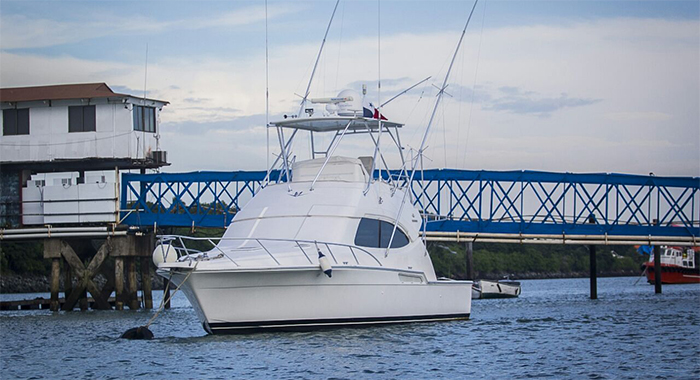 44' Bertram Yacht Rental