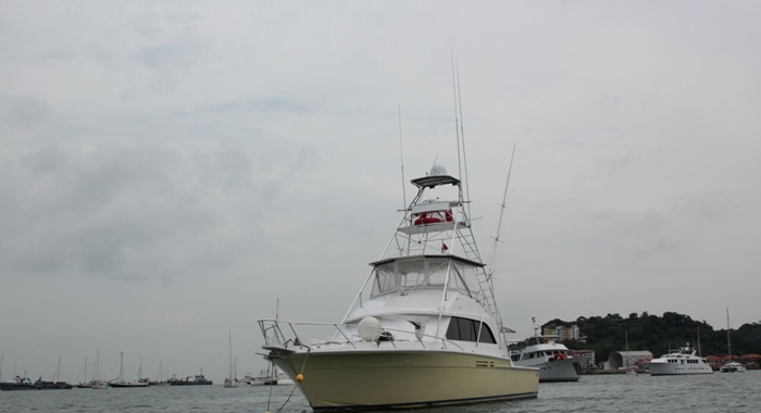 bertram yacht